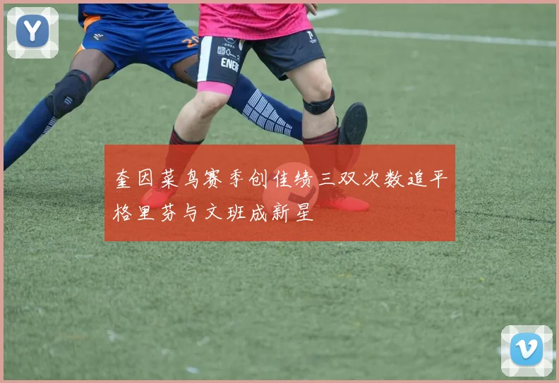 奎因菜鸟赛季创佳绩三双次数追平格里芬与文班成新星